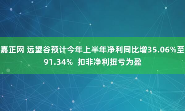 嘉正网 远望谷预计今年上半年净利同比增35.06%至91.34%  扣非净利扭亏为盈