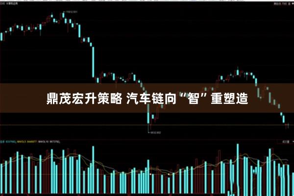 鼎茂宏升策略 汽车链向“智”重塑造