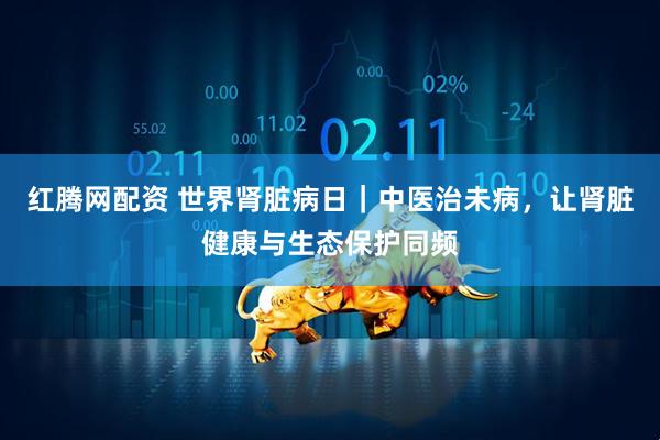 红腾网配资 世界肾脏病日｜中医治未病，让肾脏健康与生态保护同频