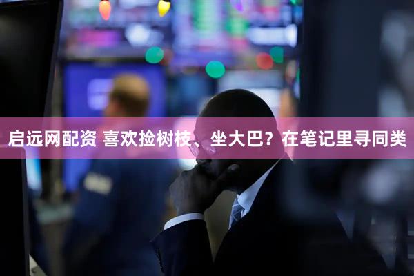 启远网配资 喜欢捡树枝、坐大巴？在笔记里寻同类